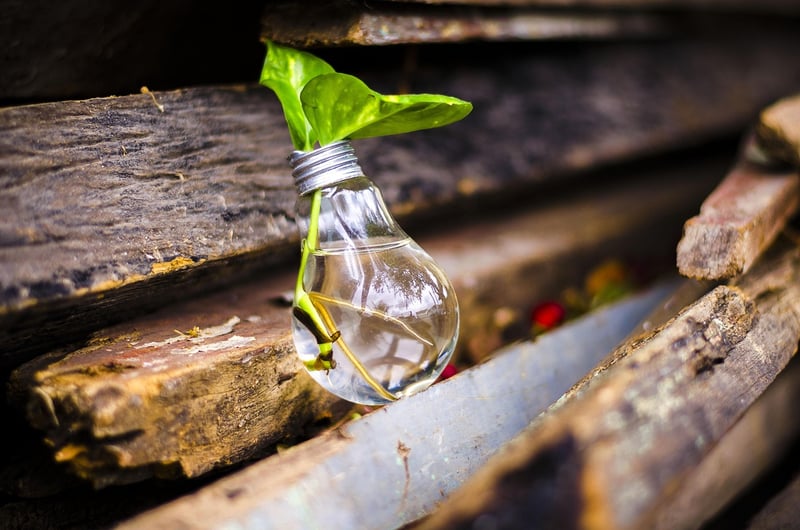 Upcycling Workshop Image